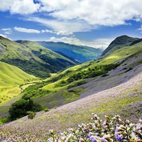 Anamudi Peak Eravikulam