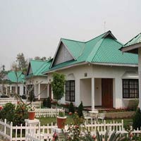 United 21 Grasslands