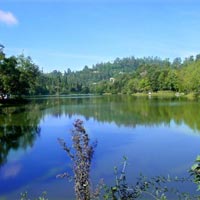 Kodaikanal Lake