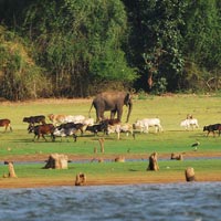 Nagarhole National Park