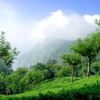 Coonoor