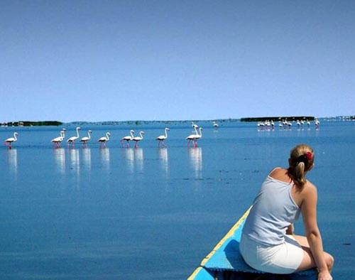 Essence of Orissa with East India Tour