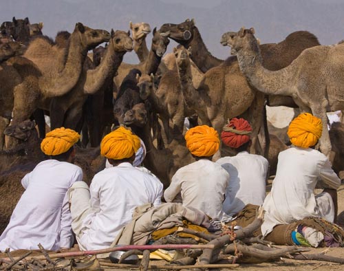 Pushkar Fair Tour