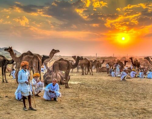 Pushkar Fair Tour with Golden Triangle